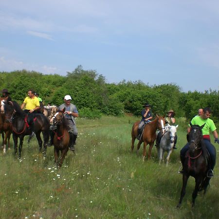 Ledenika Lodge Vratsa Bagian luar foto